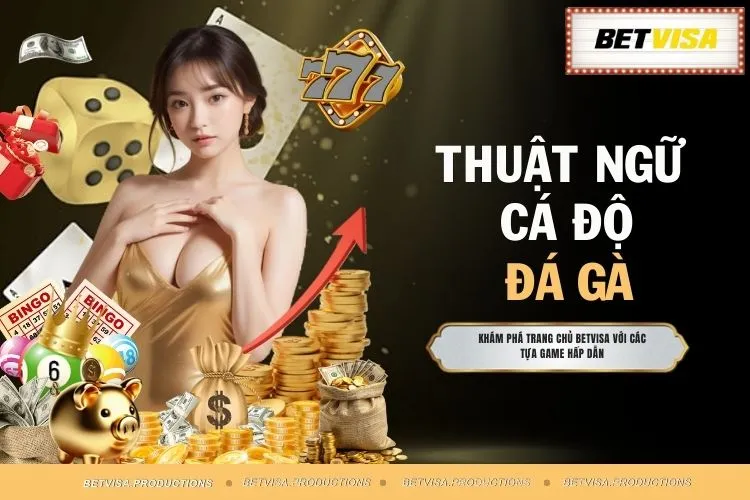 Thuật Ngữ Cá Độ Đá Gà - Nắm Rõ Để Tăng Cơ Hội Thắng No.1