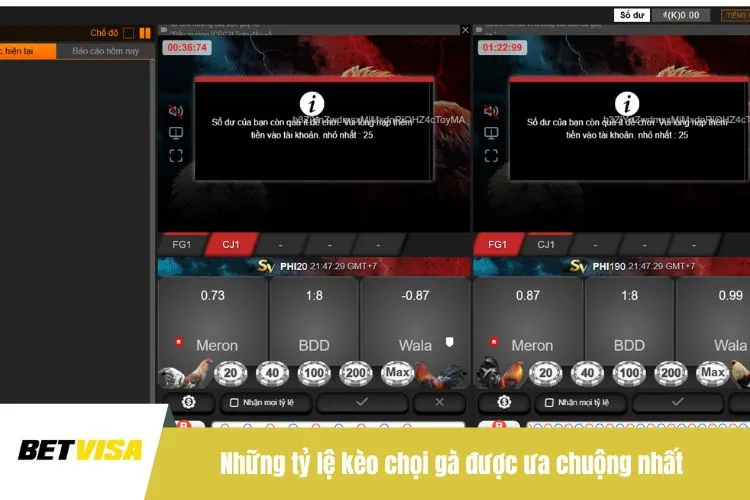 Những tỷ lệ kèo chọi gà được ưa chuộng nhất