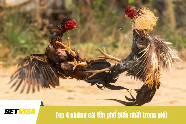 Top 4 những cái tên phổ biến nhất trong giới