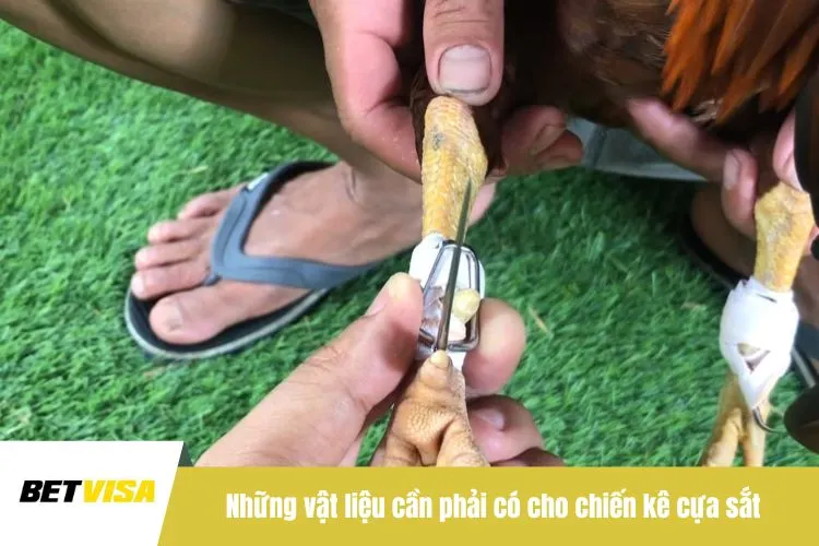 Những vật liệu cần phải có cho chiến kê cựa sắt