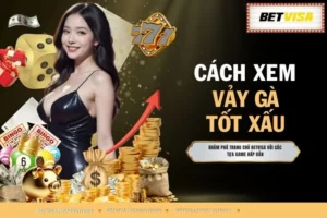 Cách Xem Vảy Gà Tốt Xấu - +1 Mẹo Lựa Vảy Hiệu Quả Từ Betvisa 
