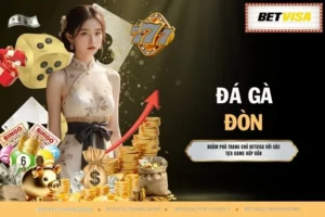Đá Gà Đòn - 50+ Thăng Hoa Bất Tận Khi Chiến Kê Tung Đòn