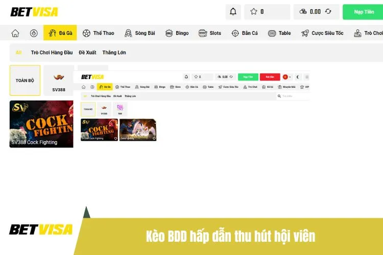 Kèo BDD hấp dẫn thu hút hội viên