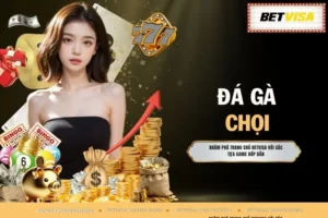 Đá Gà Nòi - Trải Nghiệm Văn Hóa Đặc Sắc Số 1 Việt Nam