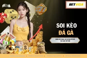 Soi Kèo Đá Gà - Phân Tích Và Dự Đoán Chuẩn Xác Số 1