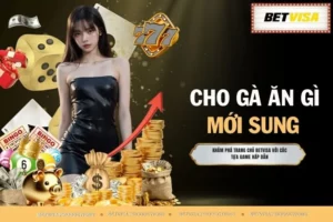 Cho Gà Ăn Gì Mới Sung - Thực Phẩm Nâng Cao Sức Khỏe No.1