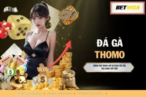 Đá Gà Thomo - Kinh Nghiệm Chọn Gà Đá Cho Người Chơi Mới
