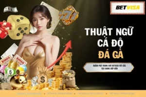 Thuật Ngữ Cá Độ Đá Gà - Nắm Rõ Để Tăng Cơ Hội Thắng No.1