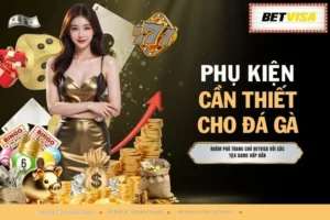 Phụ Kiện Cần Thiết Cho Đá Gà - 5 Món Giúp Tăng Sức Mạnh