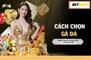 Cách Chọn Gà Đá - Bí Quyết Chọn Chiến Kê Đẳng Cấp No.1