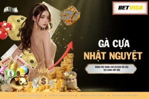 Gà Cựa Nhật Nguyệt - Bí Ẩn Giống Kê Quý Hiếm No.1 Hiện Nay