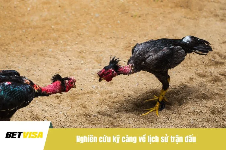Nghiên cứu kỹ càng về lịch sử trận đấu