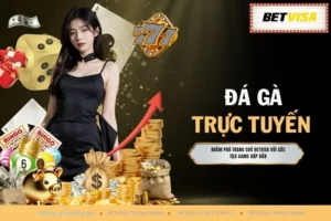 Đá Gà Trực Tuyến - Cá Cược An Toàn Và Tỷ Lệ Hấp Dẫn No.1