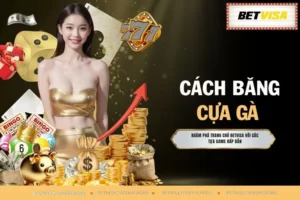 Cách Băng Cựa Gà Giúp Chiến Kê No.1 Ra Đòn Hiểm Hóc