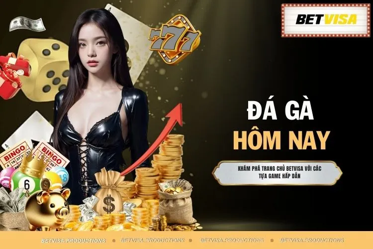 Đá Gà Hôm Nay - Điểm Mặt Mọi Trận Đấu Đẳng Cấp No.1