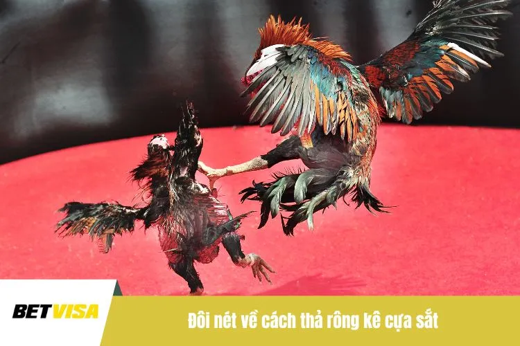 Đôi nét về cách thả rông kê cựa sắt