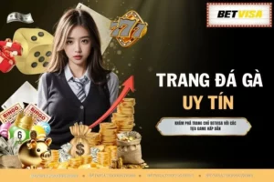 Trang Đá Gà Uy Tín - Lựa Chọn Số 1 Cho Các Thành Viên