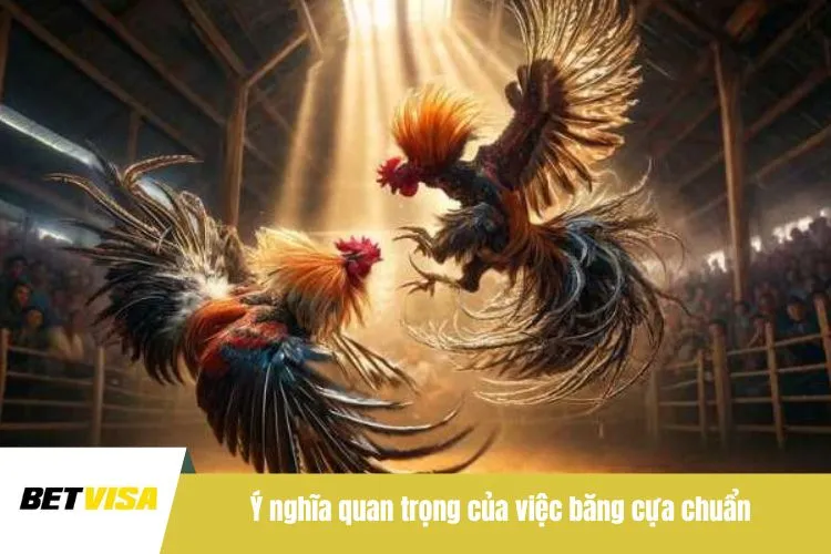 Ý nghĩa quan trọng của việc băng cựa chuẩn