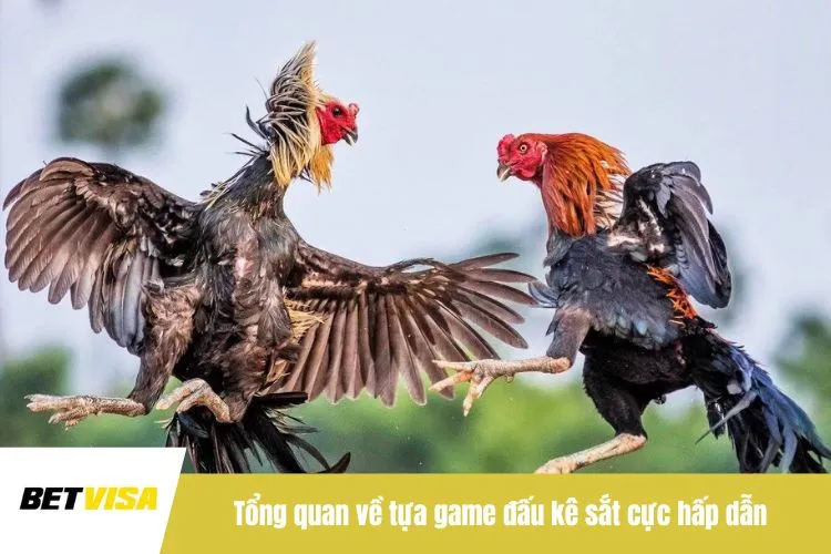 Tổng quan về tựa game đấu kê sắt cực hấp dẫn