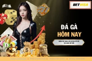 Đá Gà Hôm Nay - Điểm Mặt Mọi Trận Đấu Đẳng Cấp No.1