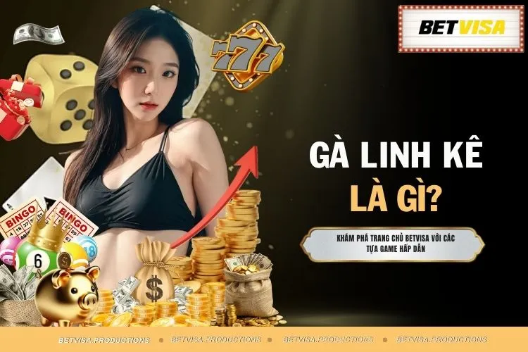 Gà Linh Kê Là Gì - Dòng Kê Thủ Mang Lại Chiến Thắng Khủng