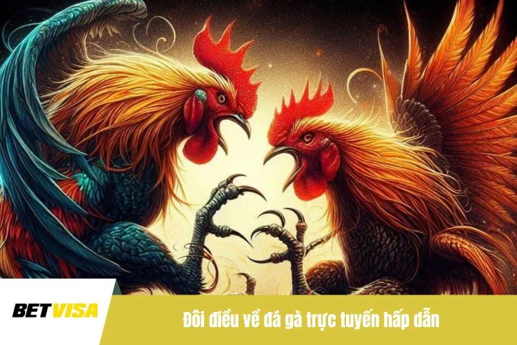 Đôi điều về đá gà trực tuyến hấp dẫn