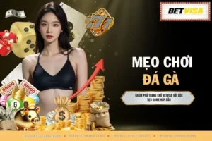 Mẹo Chơi Đá Gà - Bí Quyết Thắng No.1 Từ Các Bậc Thầy